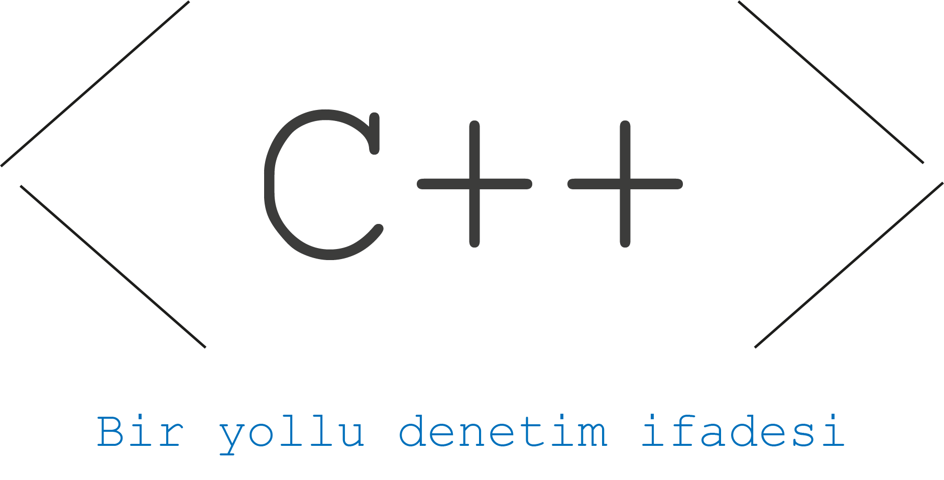 Bir yollu denetim ifadesi